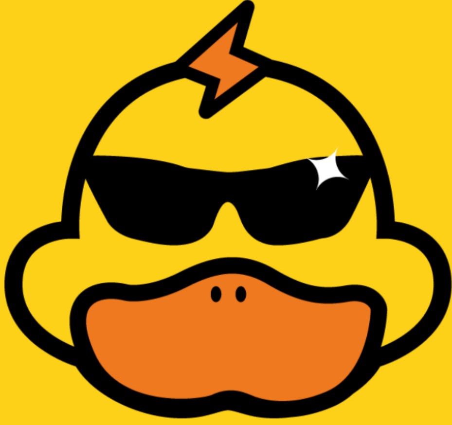 快鸭vqn加速软件